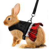 costume de lapin