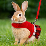 costume pour lapin