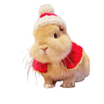 foulard Lapin