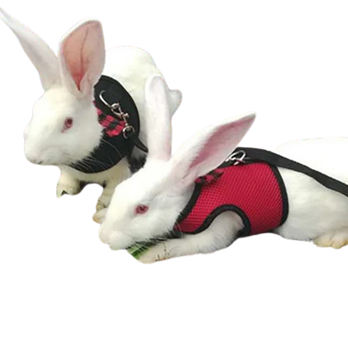 Gilet lapin sans manche hotsell