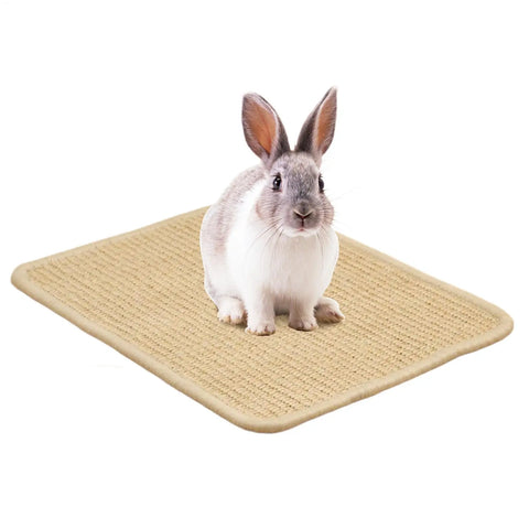 grattoir tapis pour lapin