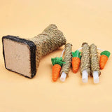 jeu pour petit lapin
