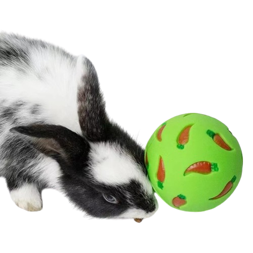 Jouet Pour Lapin Nain Belier 