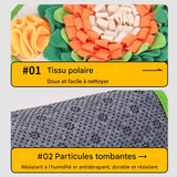 lapin nain tapis