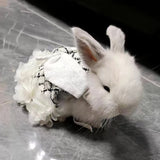 lapin nain vetement 