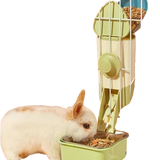 mangeoire lapin automatique