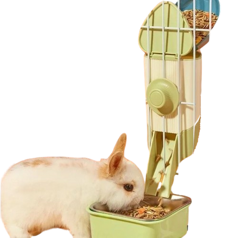 mangeoire lapin automatique