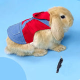 manteau à lapin nain