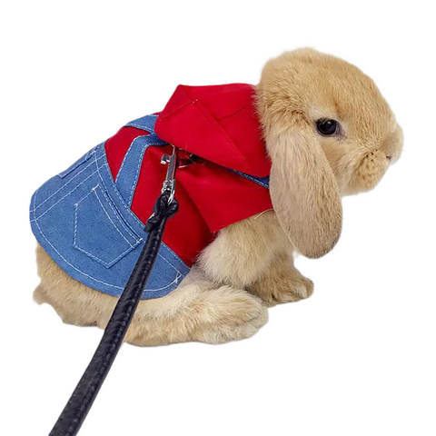 manteau lapin nain