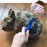 peigne anti puces lapin 
