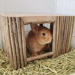 plateforme pour lapin