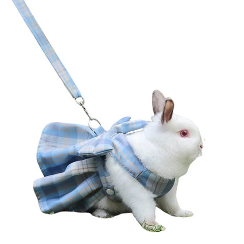 Katutude Animaux Sauteur à Remonter, 2pcs Jouet Lapin à Remonter Mignon Jouet Mécanique à Remonter Ours en Peluche Jouet Sauteur à Remonter Animaux en Peluche Cadeau pour Enfants Garçons Et Filles Katutude Animaux Sauteur à Remonter, 2pcs Jouet Lapin à Remonter Mignon Jouet Mécanique à Remonter Ours en Peluche Jouet Sauteur à Remonter Animaux en Peluche Cadeau pour Enfants Garçons Et Filles