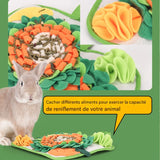 tapis lapin nain