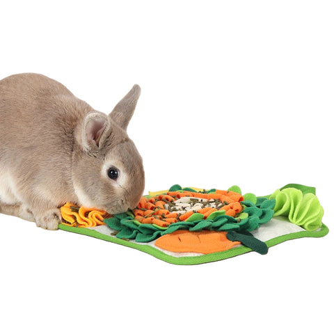 tapis pour lapin nain