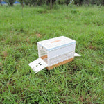 cage lapin nain extérieur